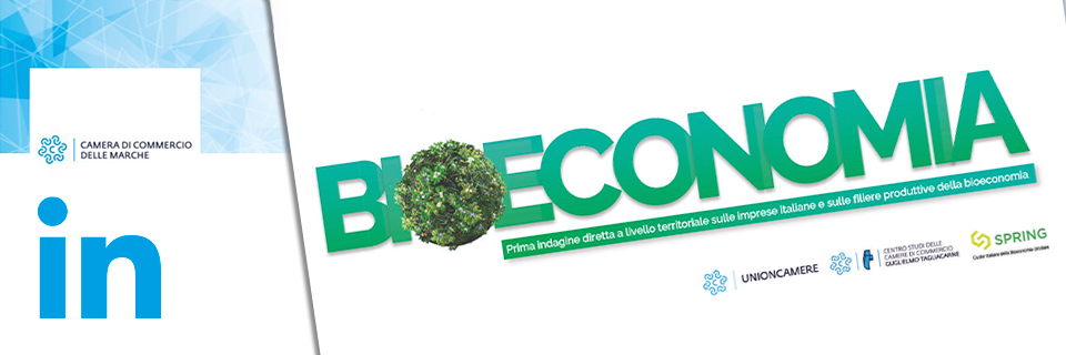Bioeconomia: la prima indagine diretta a livello territoriale sulle imprese italiane e sulle filiere produttive della bioeconomia